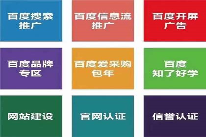 百度竞价广告案例分析：成功之道揭秘